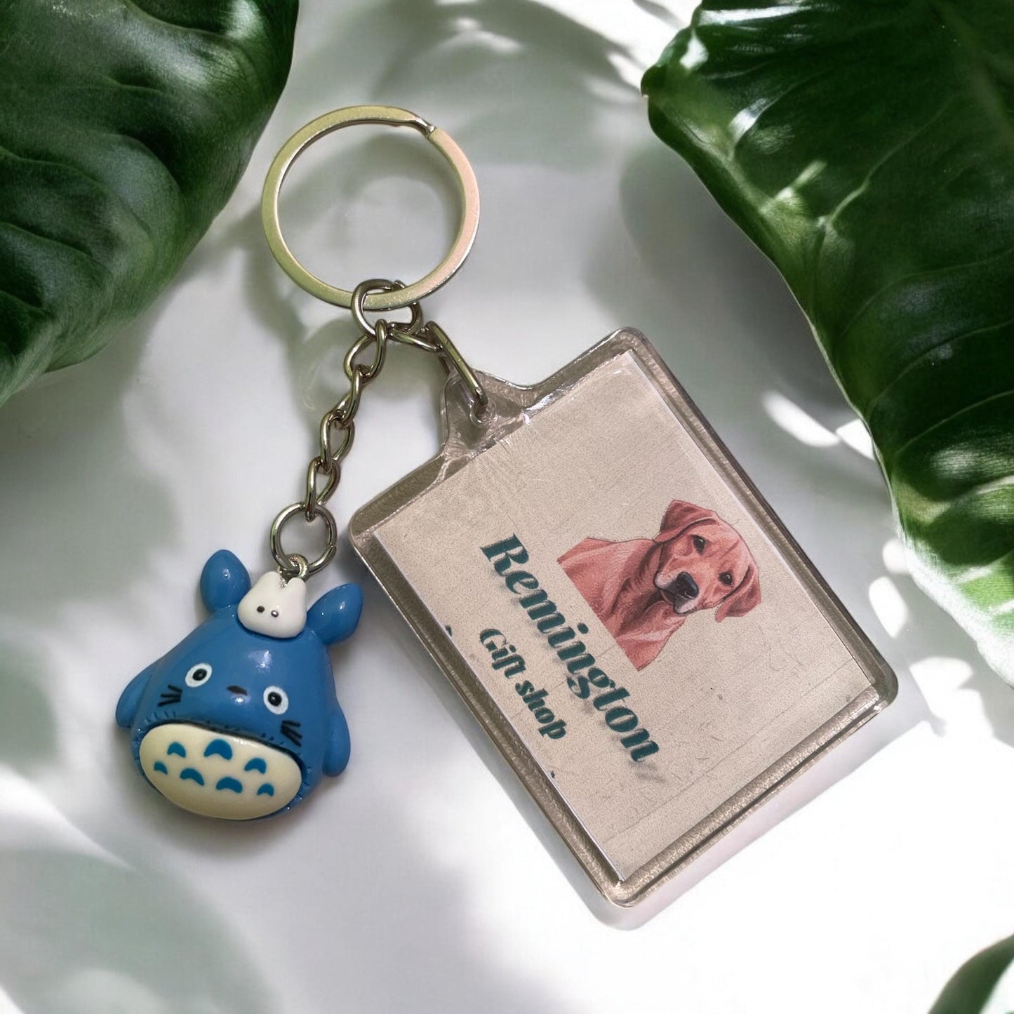 Anime   keychains , gifts , ToToro