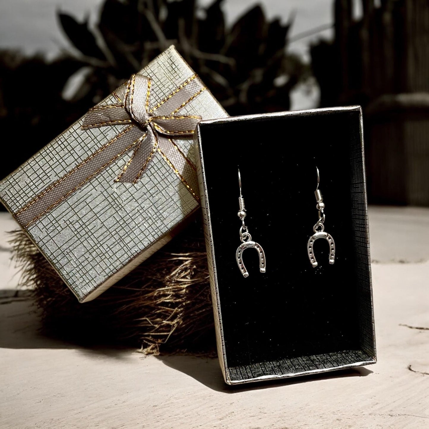 Horseshoe   earrings