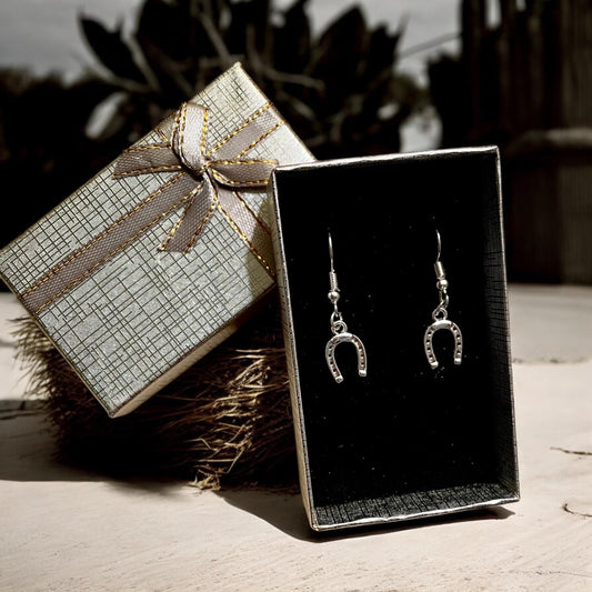 Horseshoe   earrings