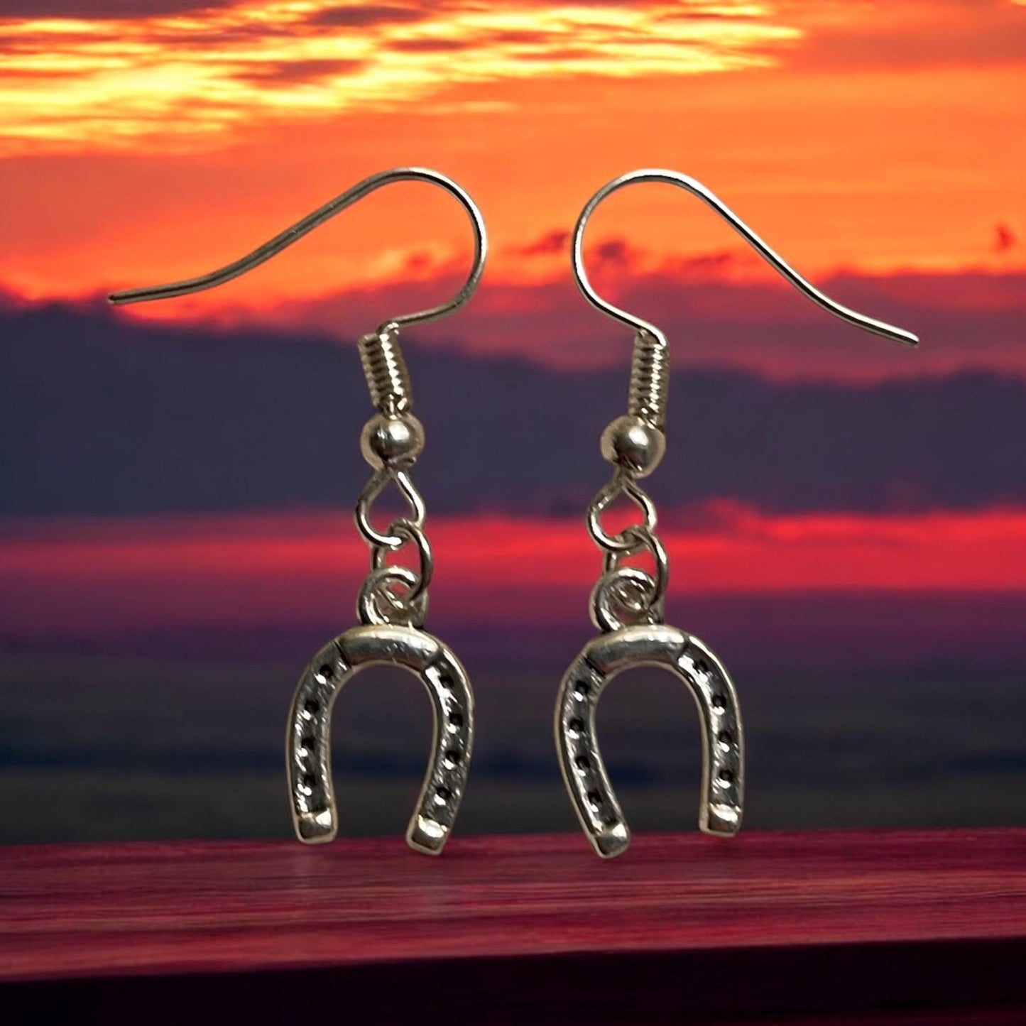 Horseshoe   earrings