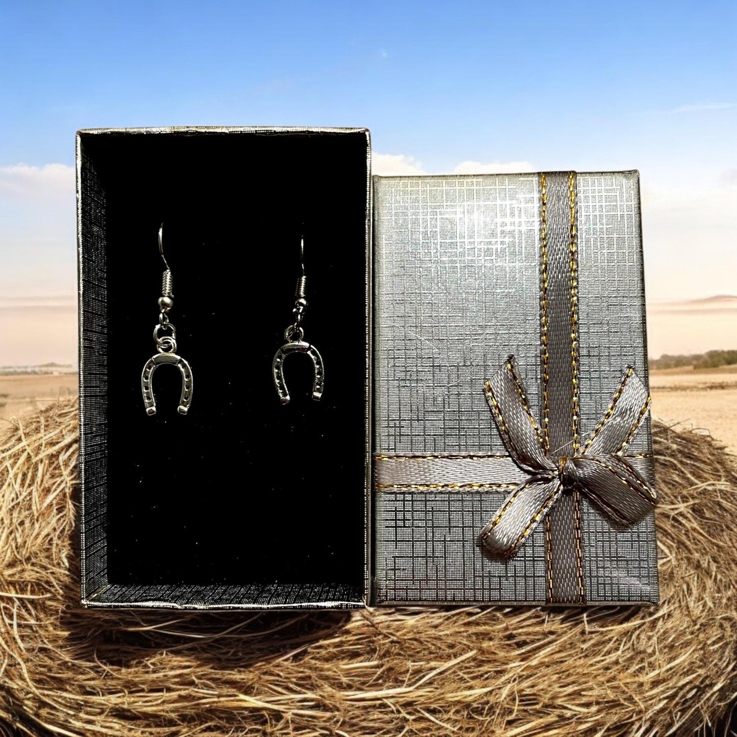 Horseshoe   earrings