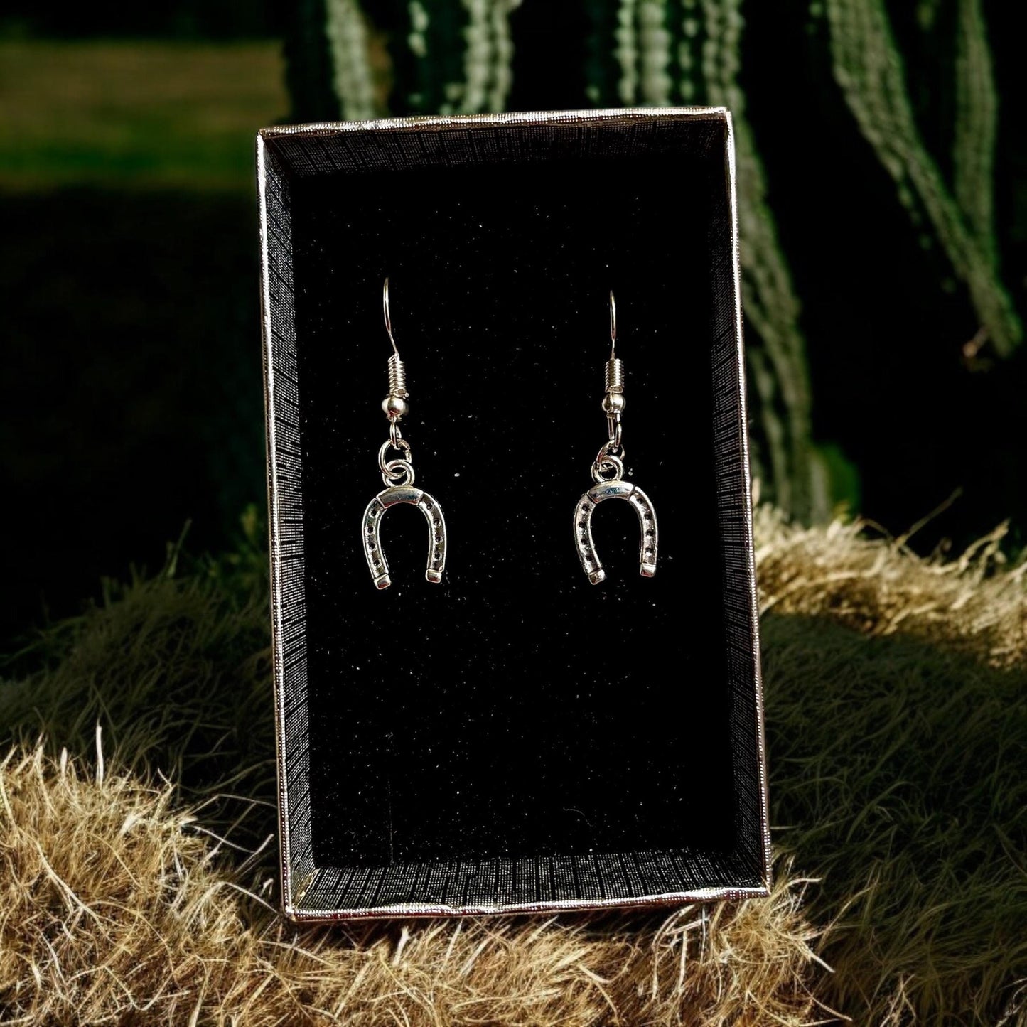 Horseshoe   earrings