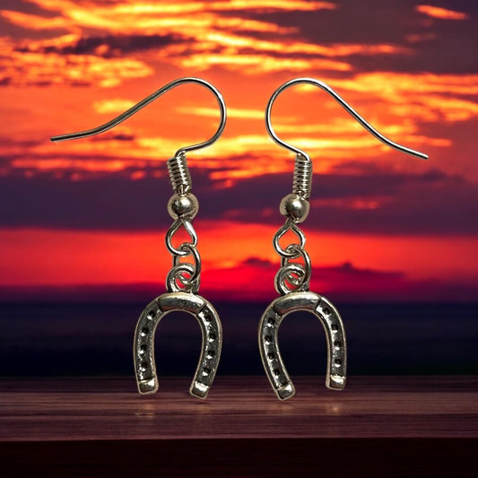 Horseshoe   earrings