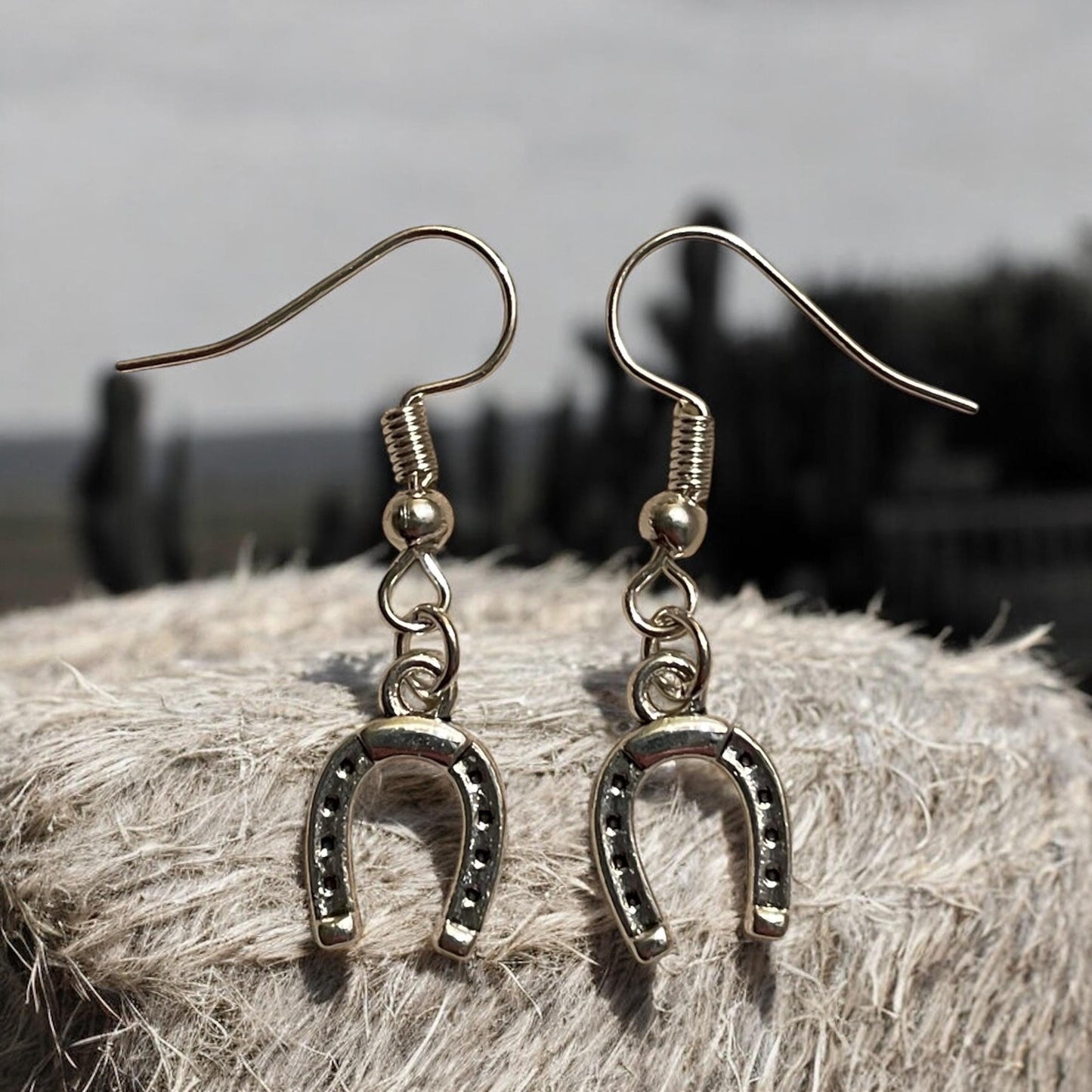 Horseshoe   earrings