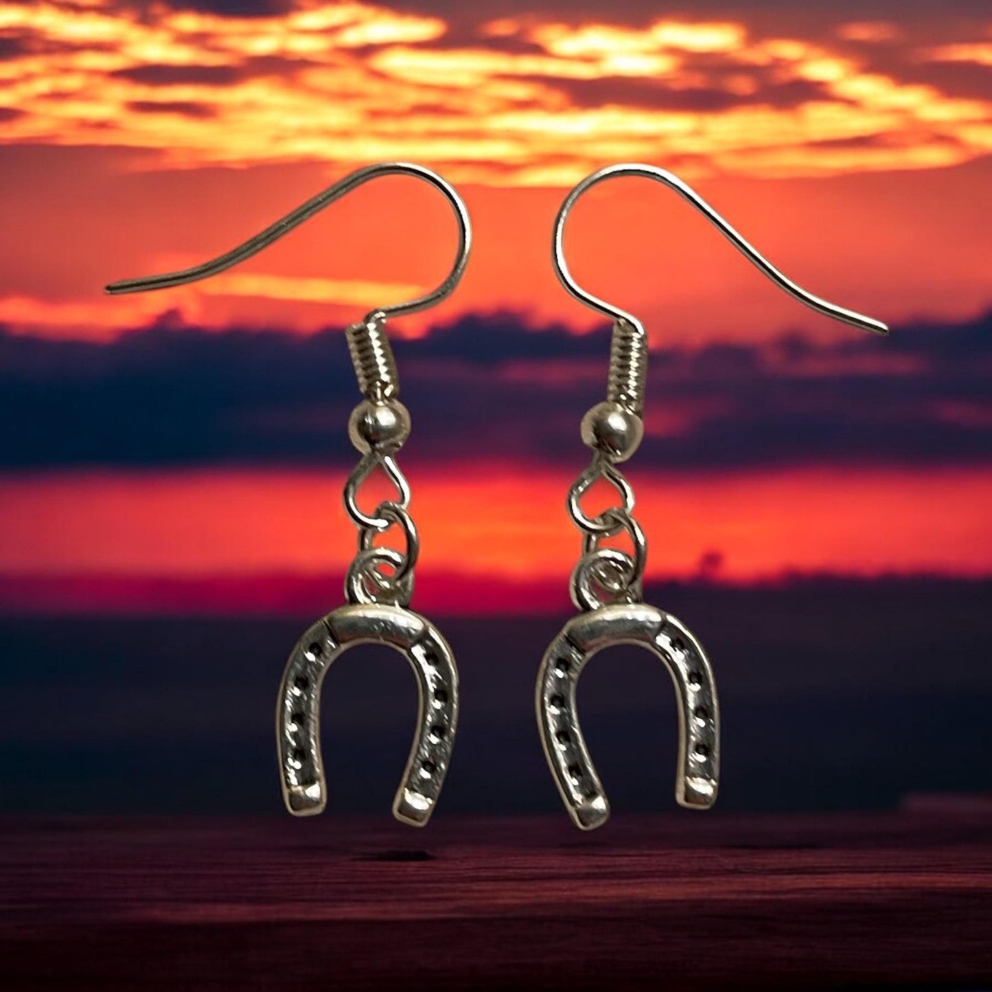 Horseshoe   earrings